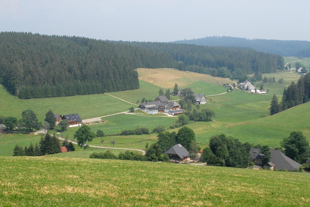 Hotel Kaltenbach Schönwalde Dış mekan fotoğraf