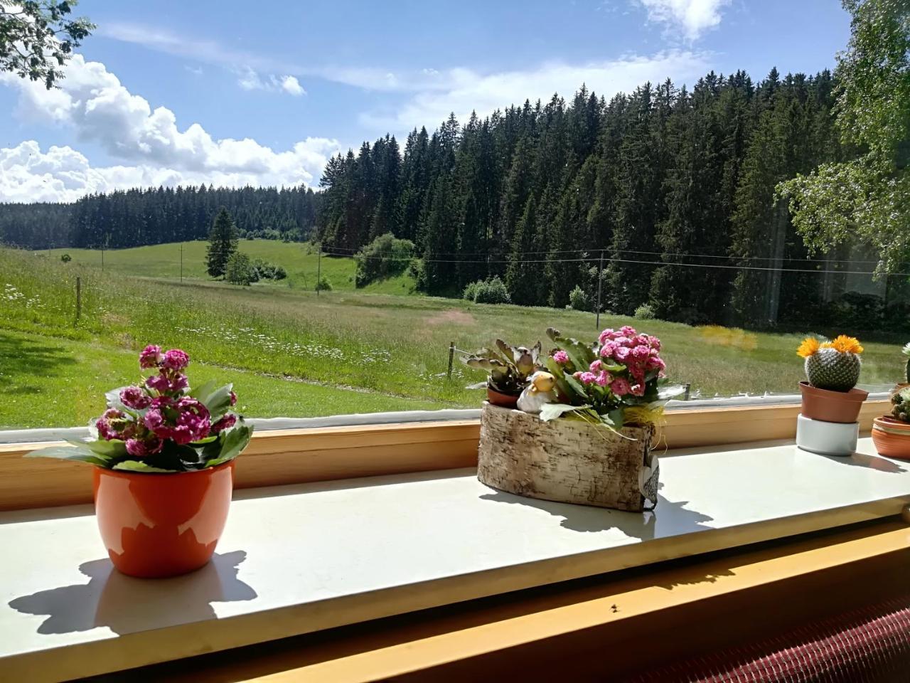 Hotel Kaltenbach Schönwalde Dış mekan fotoğraf