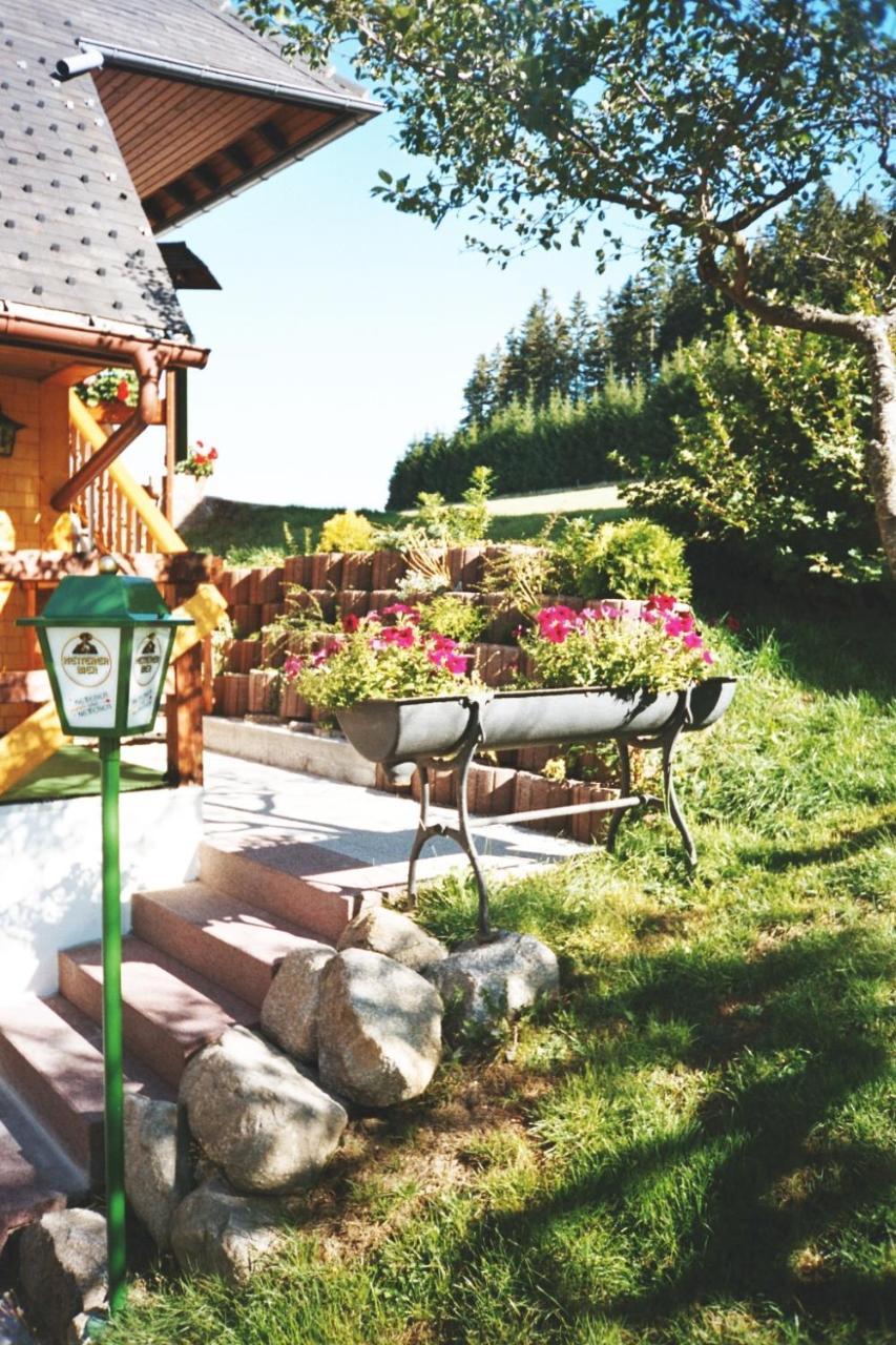 Akzent Hotel Kaltenbach Triberg im Schwarzwald Dış mekan fotoğraf